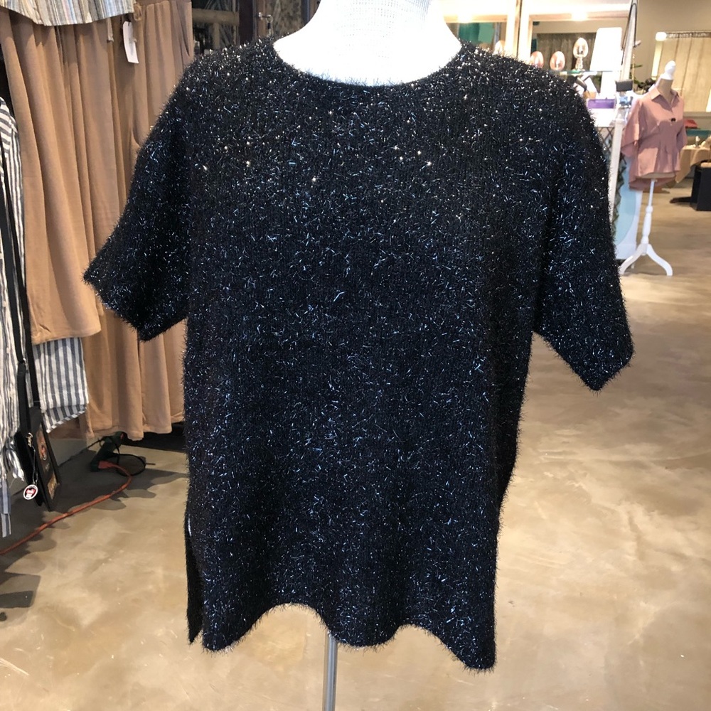Short sleeve sparkle top